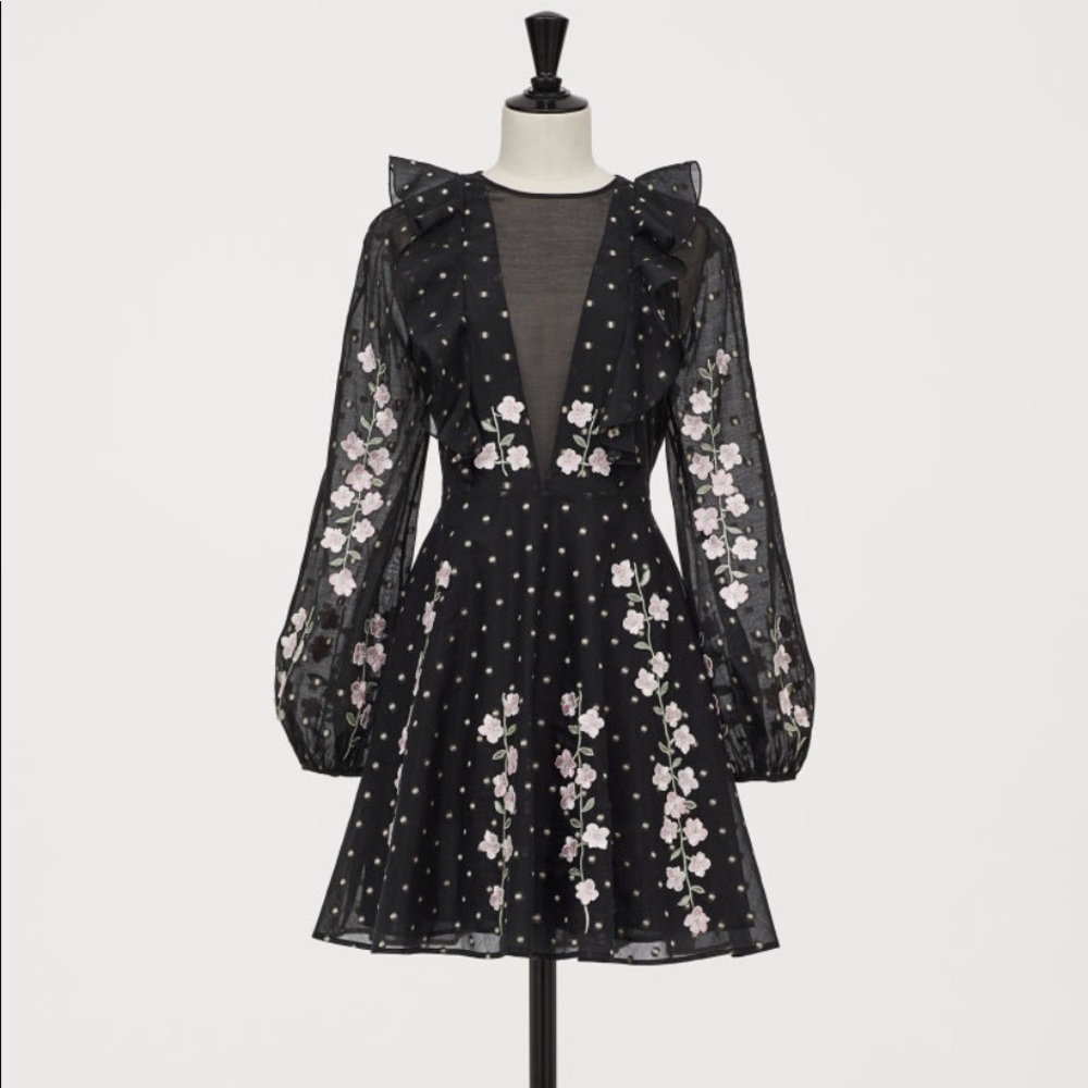 Giambattista Valli x H&M Dress with Embroidery